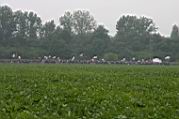 juventutem-marienfeld-072.jpg